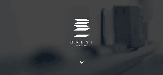 株式会社ブレストホールディングス